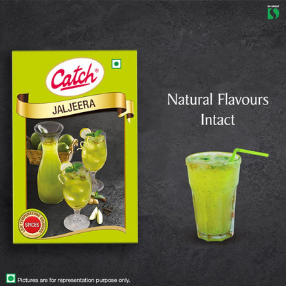 Catch Jal Jeera Powder 100g