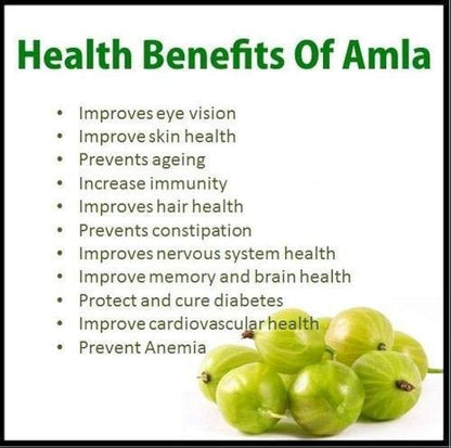 Dry Amal Powder 200g