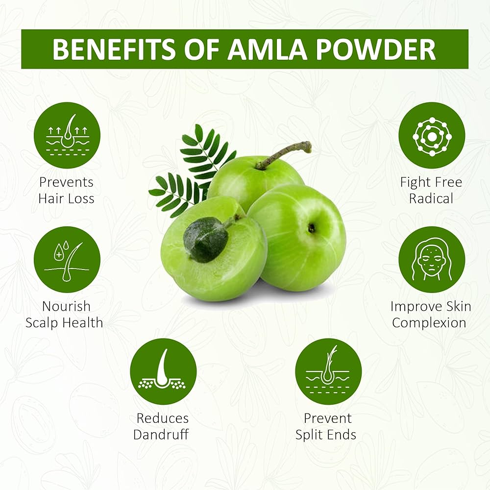 Dry Amal Powder 200g