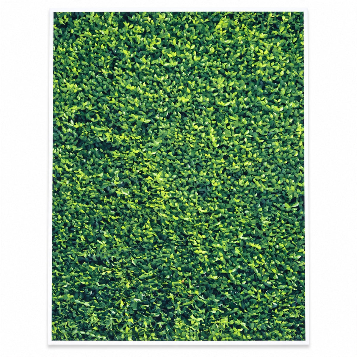 Leaf Print Photography Backdrop Cloth For Product Photos And Decor (100x75 Cm)