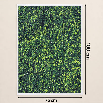 Leaf Print Photography Backdrop Cloth For Product Photos And Decor (100x75 Cm)