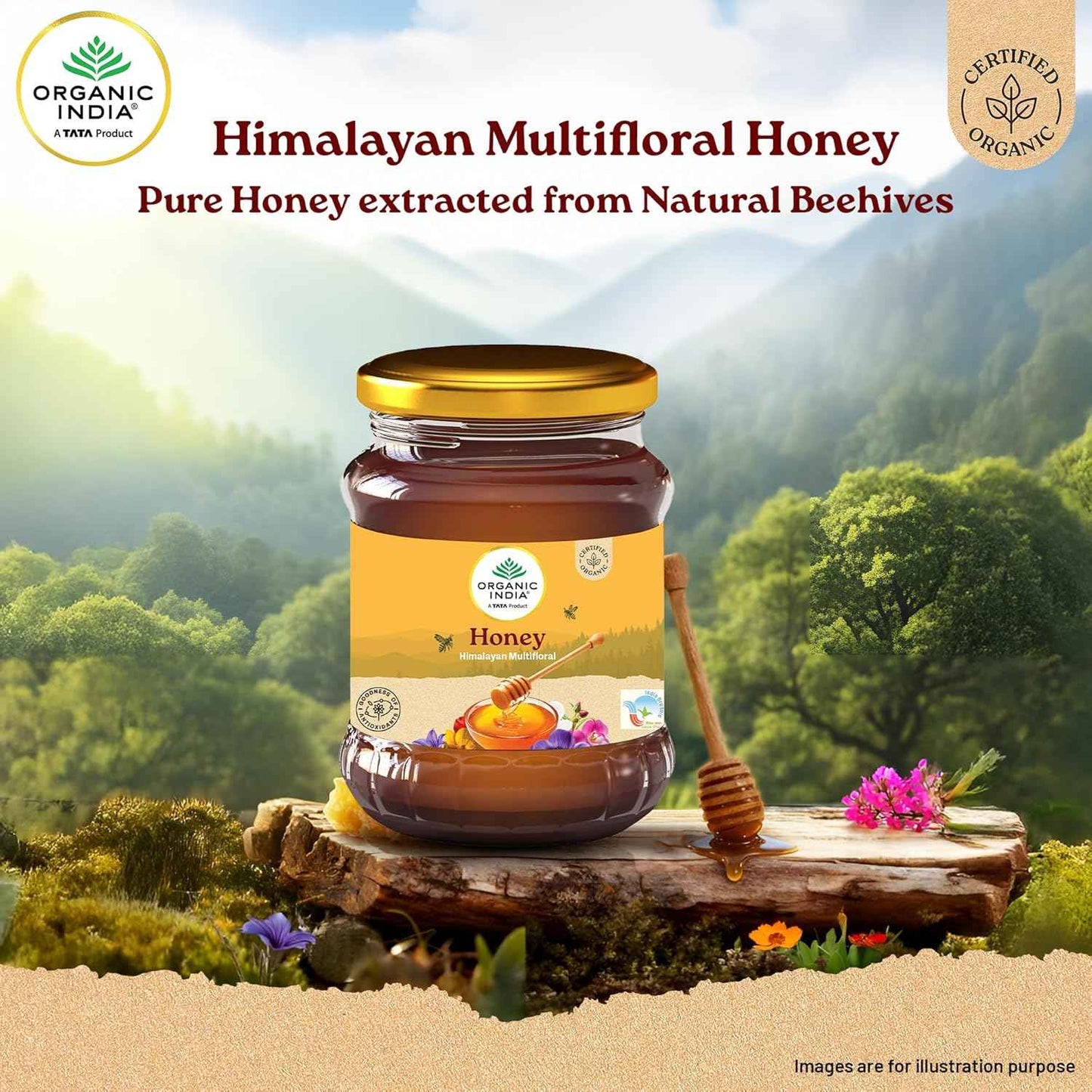 ORGANIC INDIA Himalayan Multi Floral Honey 250g, Raw & Unprocessed, Natural & Organic, Sourced From the Shivalik Range of the Himalayas, Rich in Nutrients, Antioxidants