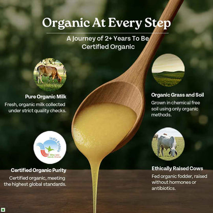 Organic India Pure Cow Ghee, 500ml | Labs Tested on 250+ Parameters | Certified Organic | Glass Bottle |