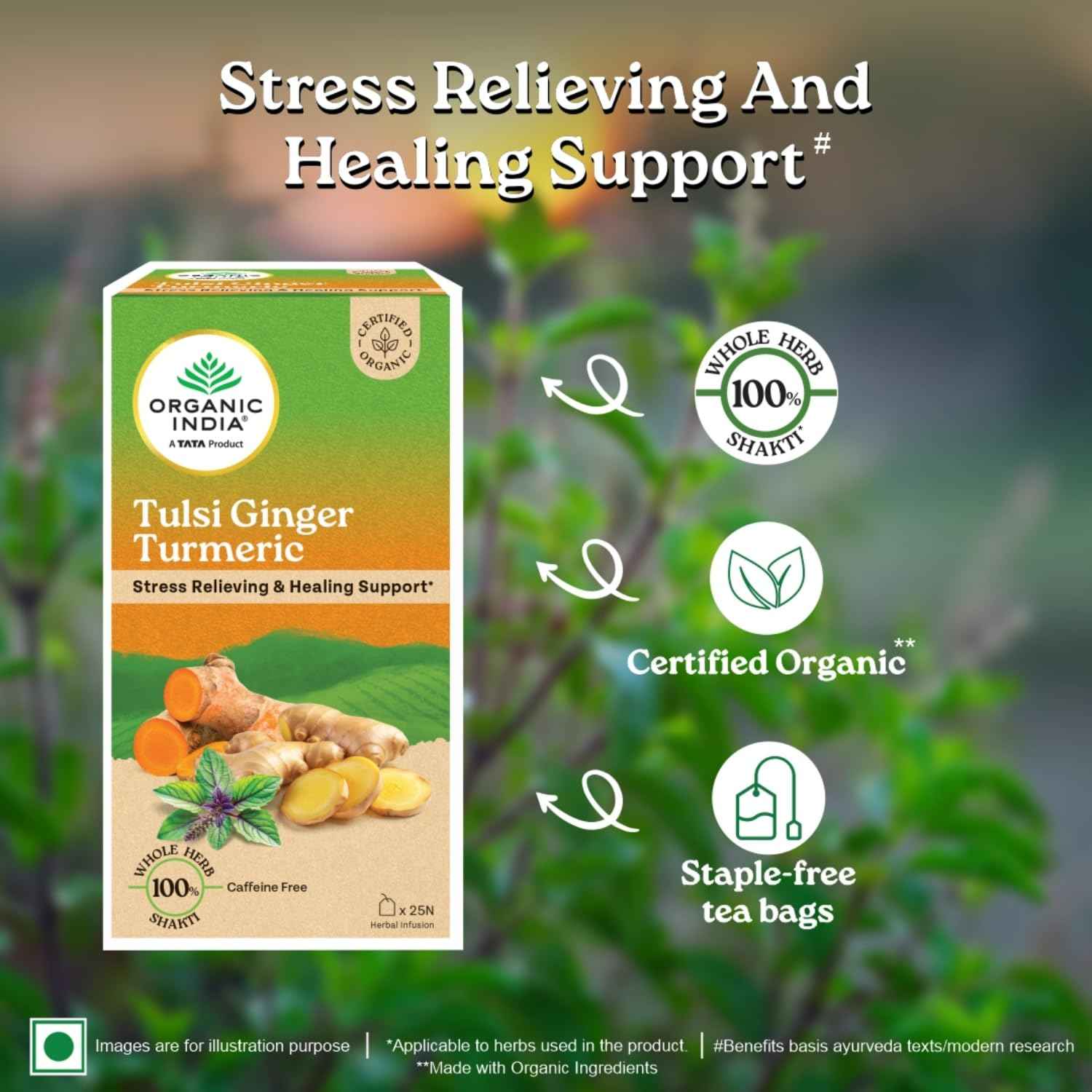 Organic India Tulsi Ginger Turmeric - 25 Tea Bags,