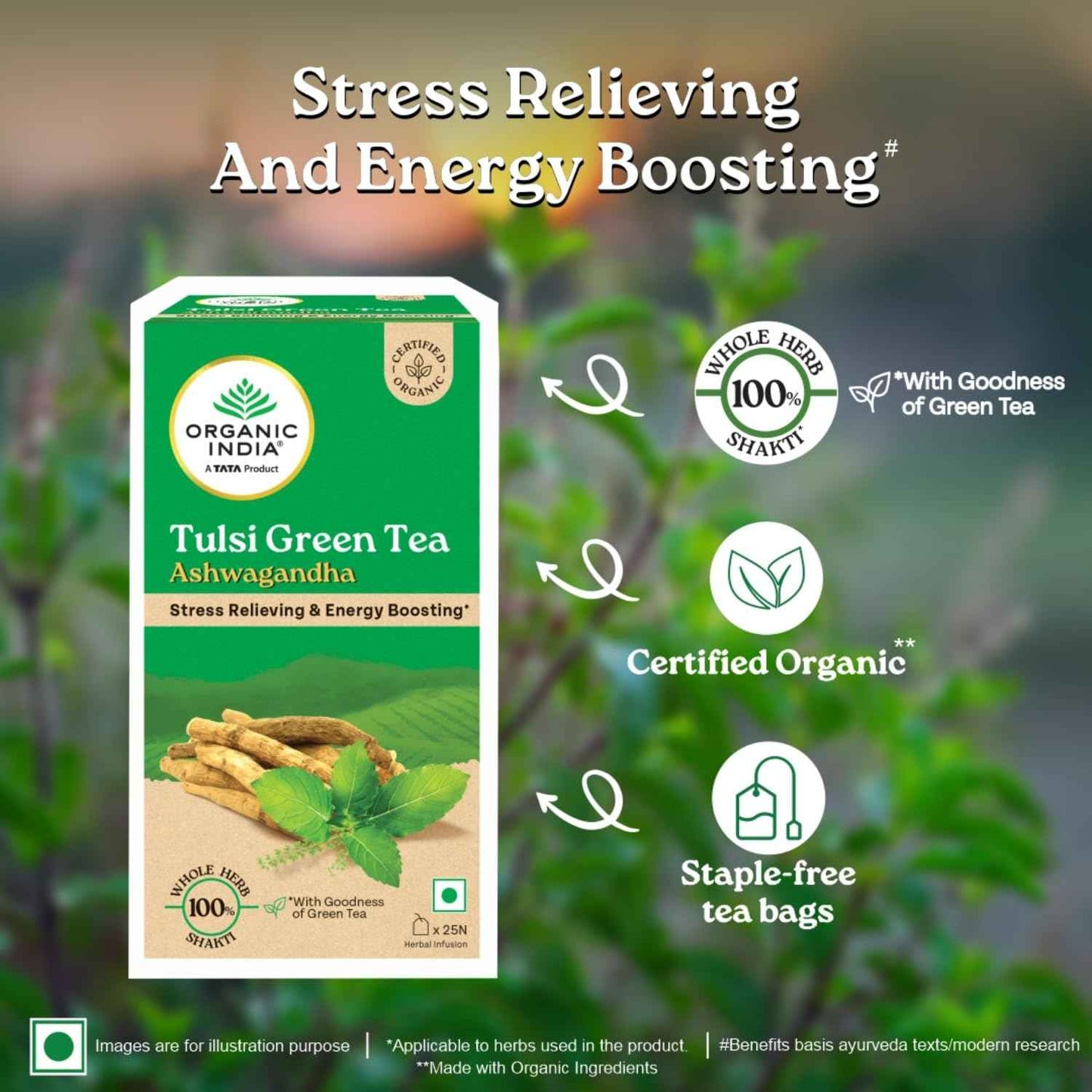 Organic India Tulsi Green Tea Ashwagandha - 25 Tea Bag