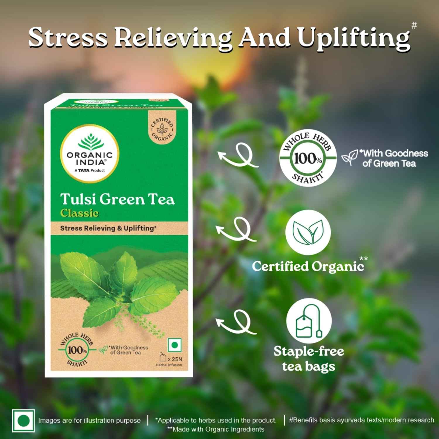 Organic India Tulsi Green Tea Classic - 25 Tea