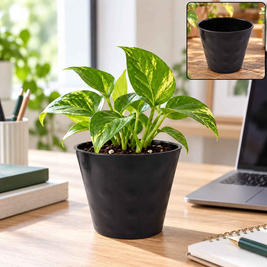 Decorative Round Plastic Flower Pot For Indoor And Outdoor Plants And Home Decor