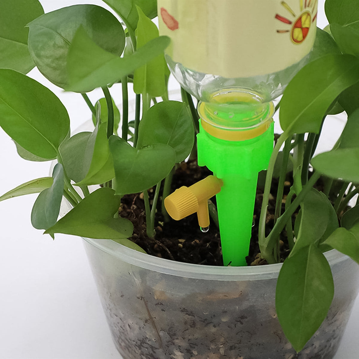 Green Plant Watering Spikes Self Watering Spikes (1 Pc)