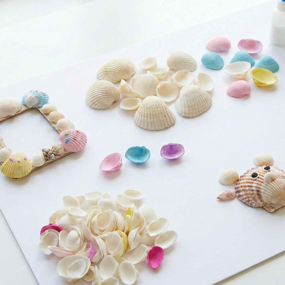 Decorative Seashells Set  (1 Set)