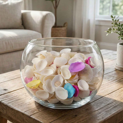 Decorative Seashells Set  (1 Set)
