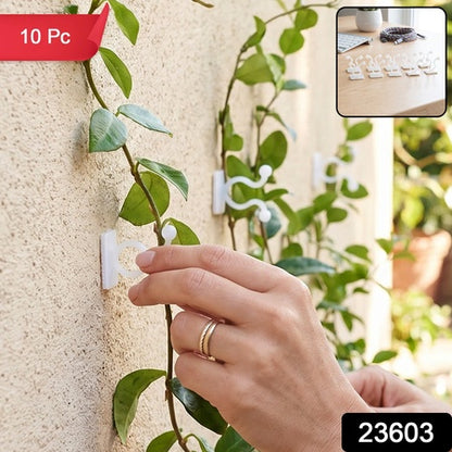 Plastic Self Adhesive Plant Hooks For Climbing Plant Vines And Stems (10 Pieces)