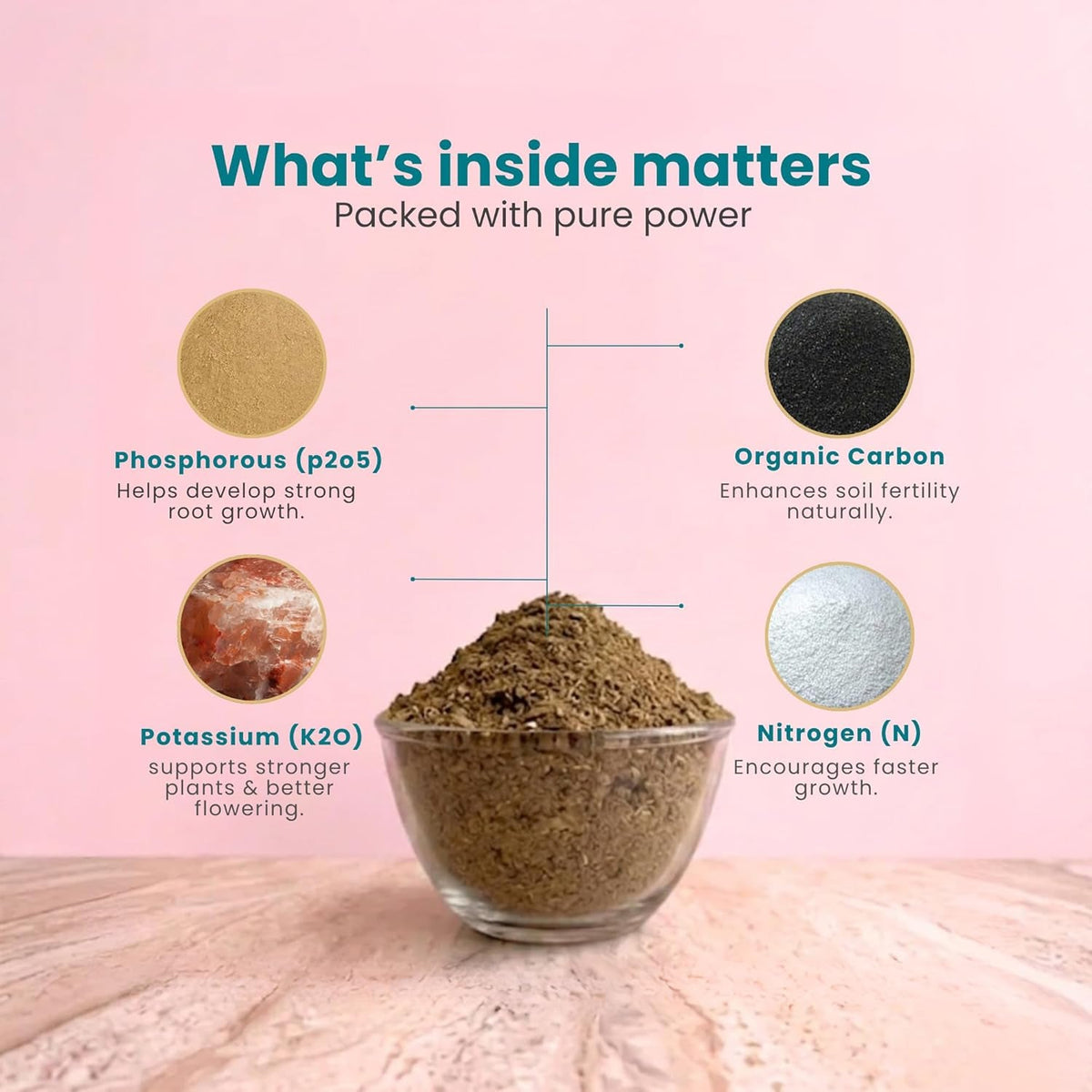 Organic Cow Dung Powder 800g Natural Soil Improver And Manure For Plants (1 Pc)