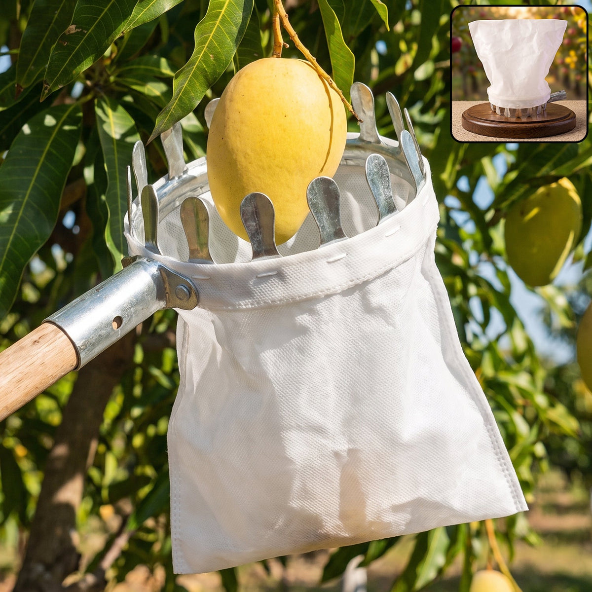 Manual Fruit Picker Tool With Cotton Bag For Mango Apple And Garden Harvesting