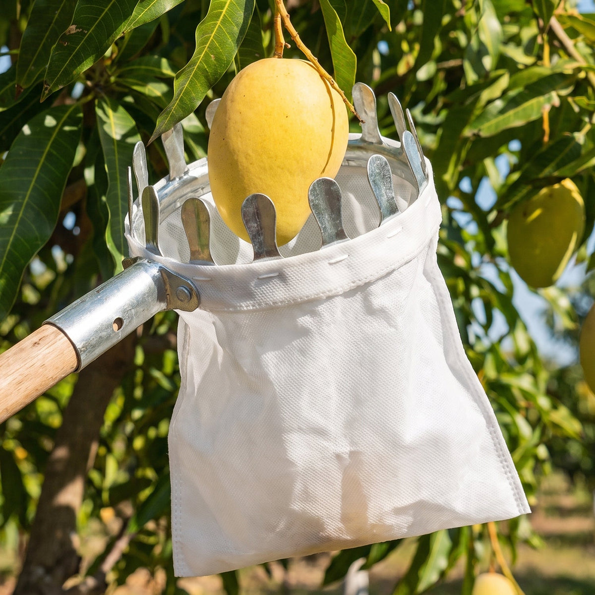 Manual Fruit Picker Tool With Cotton Bag For Mango Apple And Garden Harvesting